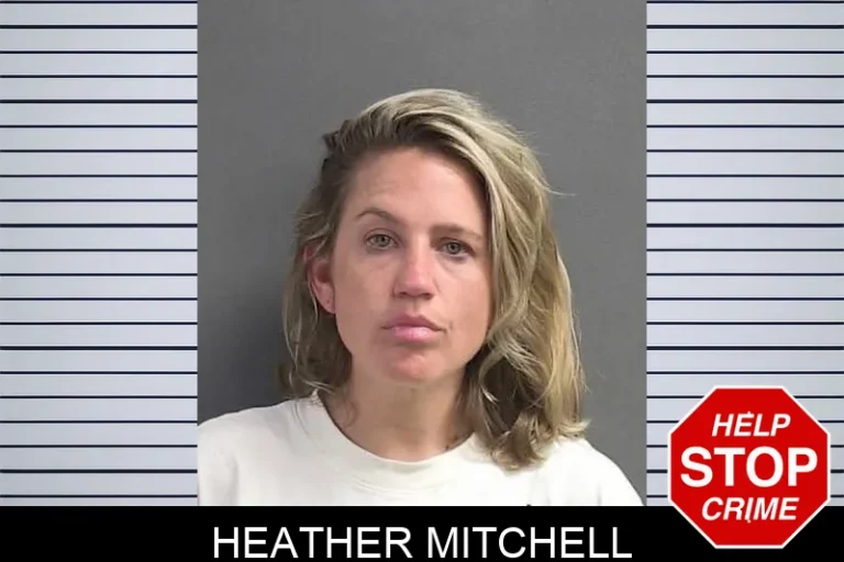 Heather Mitchell