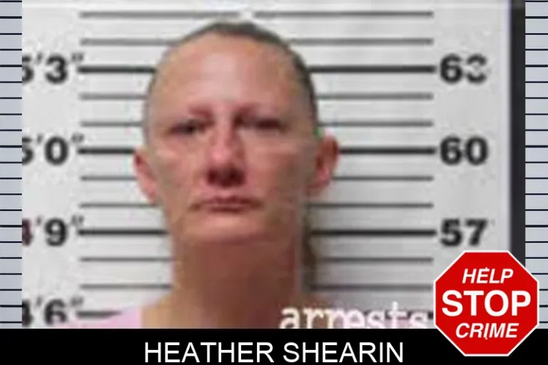 Heather Shearin