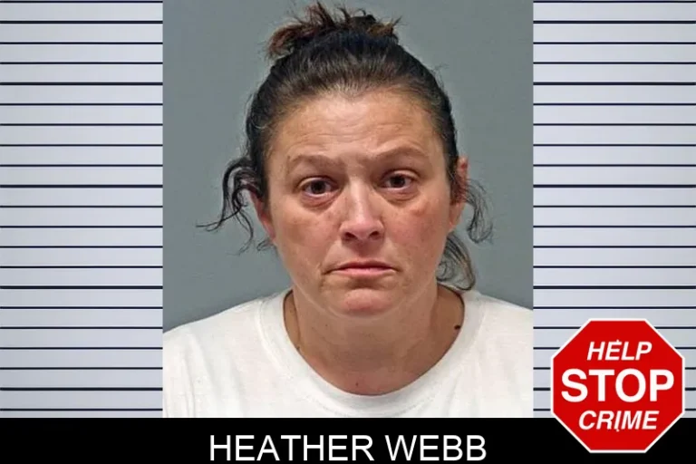 Heather Webb