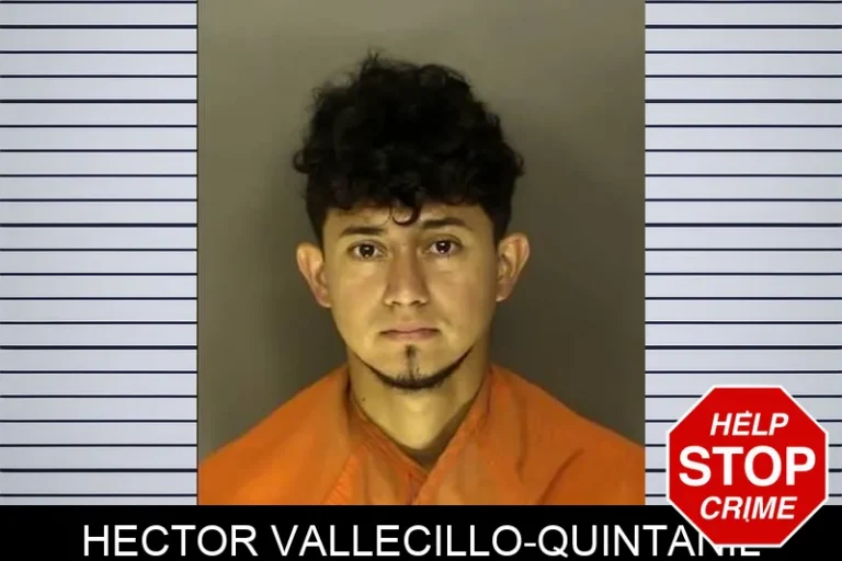 Hector Vallecillo-Quintanil