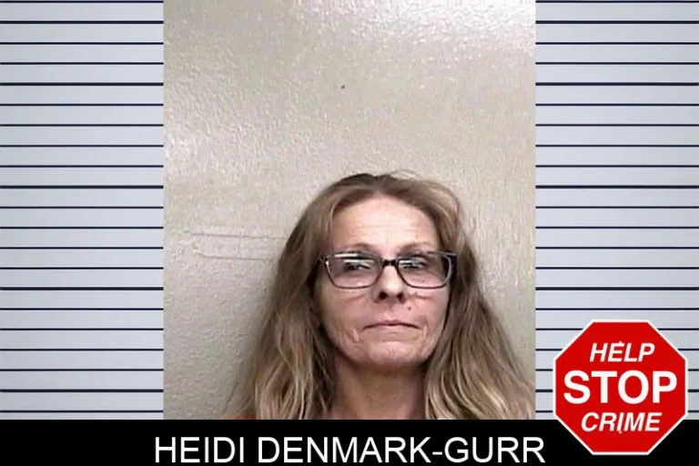 Heidi Denmark-Gurr