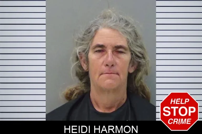 Heidi Harmon