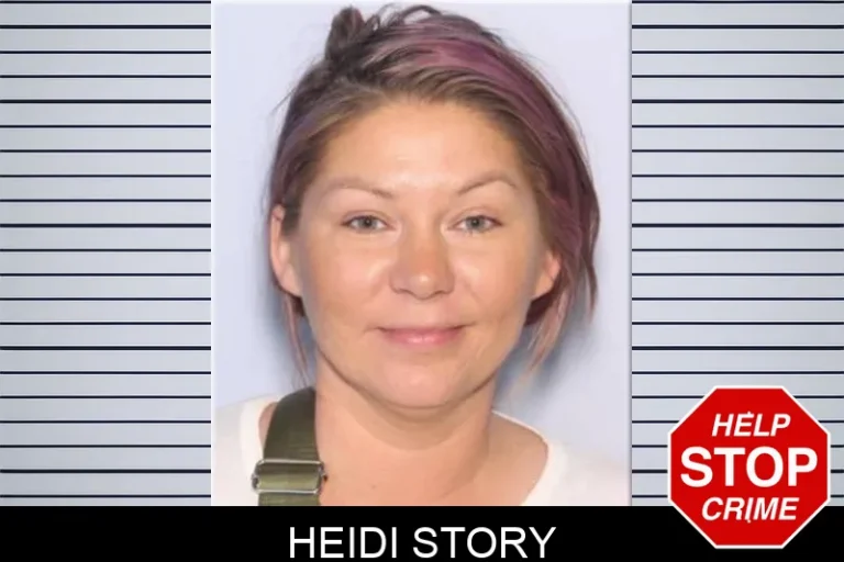 Heidi Story