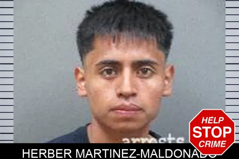 Herber Martinez-Maldonado