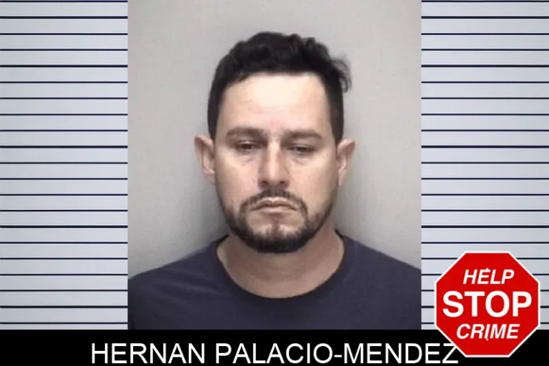 Hernan Palacio-Mendez