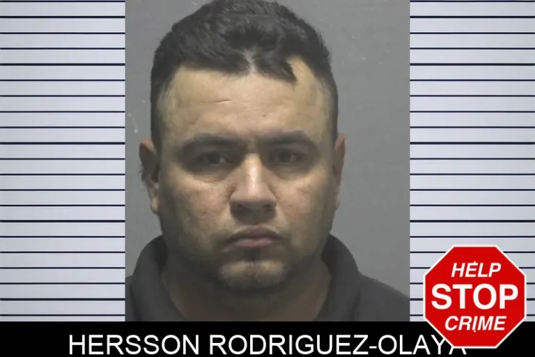Hersson RodriguEz-Olaya