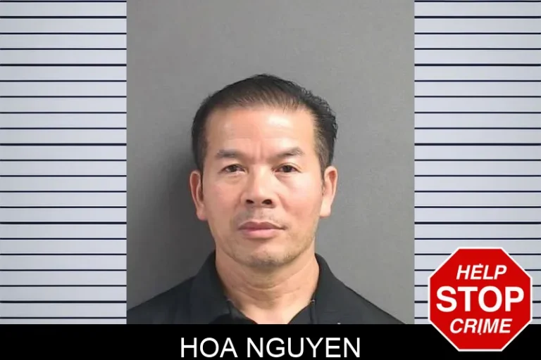 Hoa Nguyen