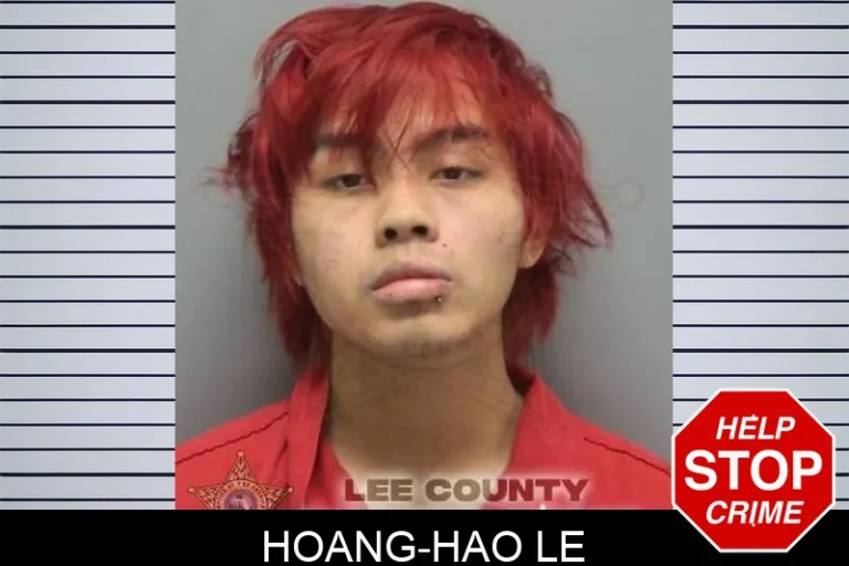 Hoang-Hao Le