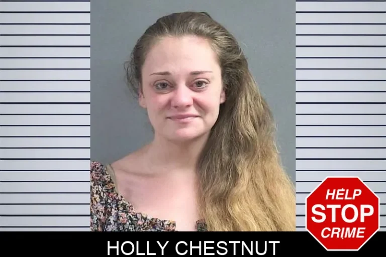 Holly Chestnut