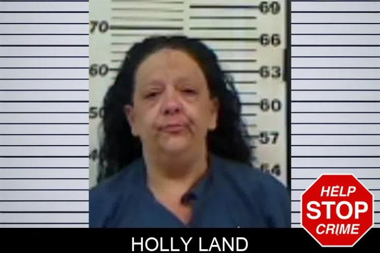 Holly Land