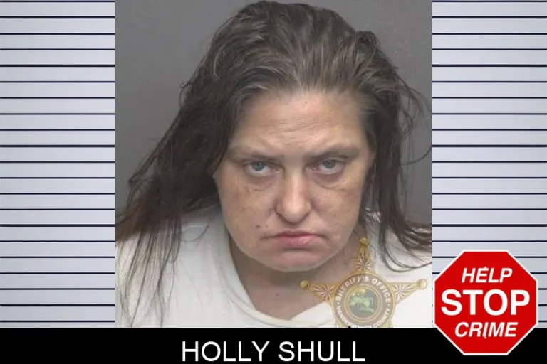 Holly Shull