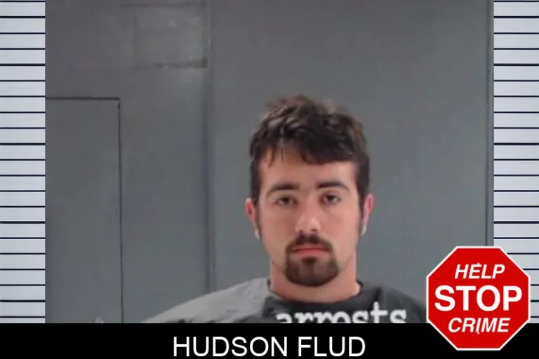 Hudson Flud