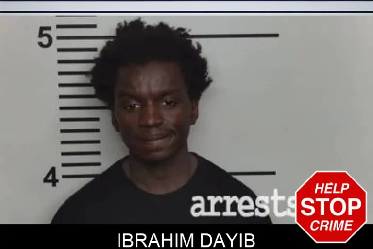 Ibrahim Dayib