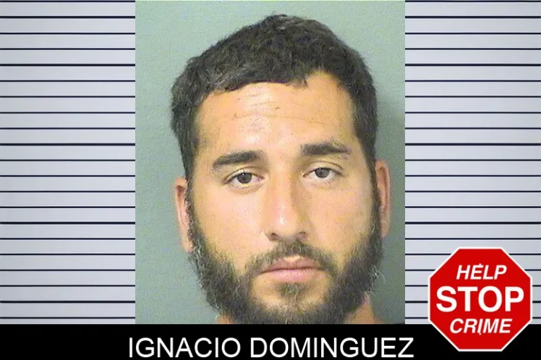 Ignacio Dominguez