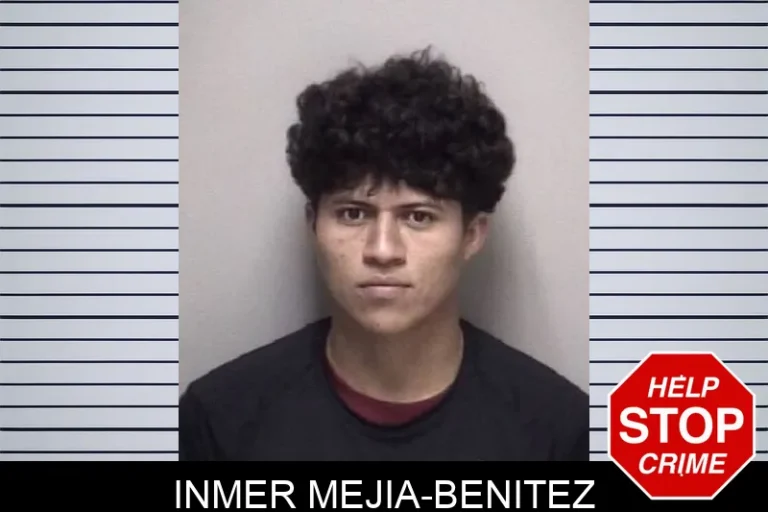 Inmer Mejia-Benitez