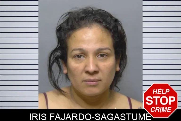 Iris Fajardo-SagastuMe