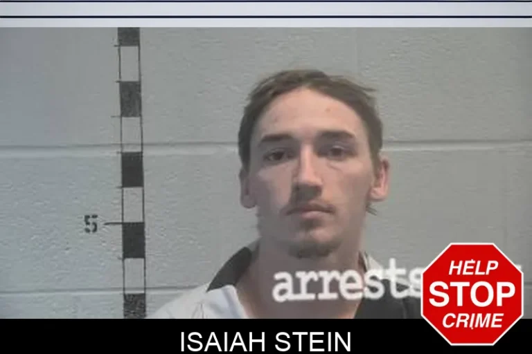 Isaiah Stein