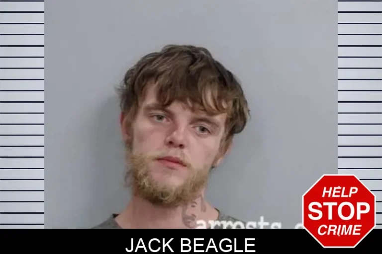 Jack Beagle