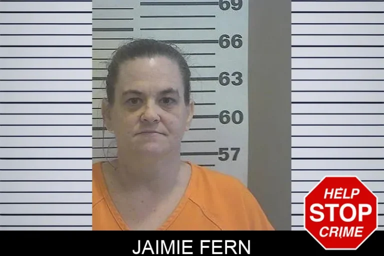 Jaimie Fern