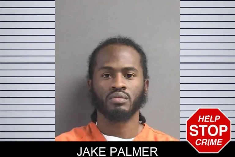 Jake Palmer