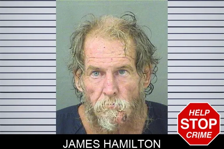 James Hamilton