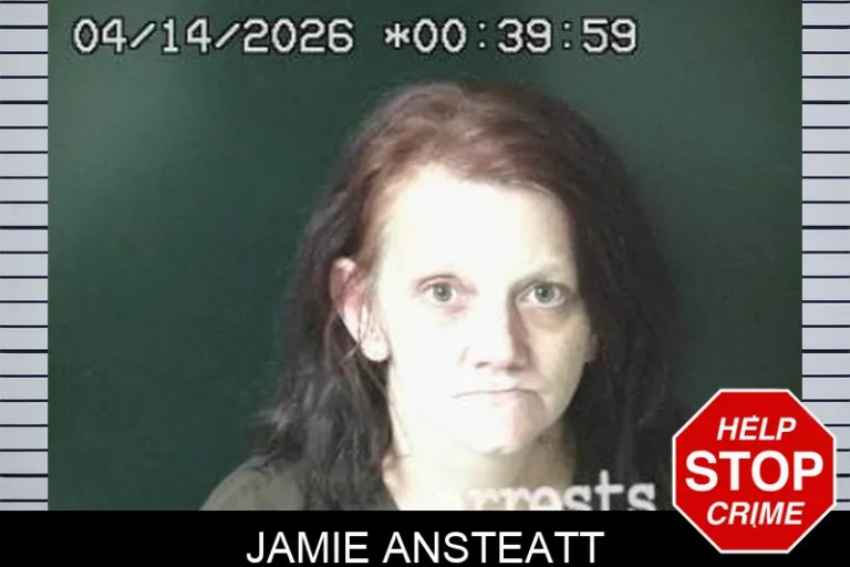 Jamie Ansteatt
