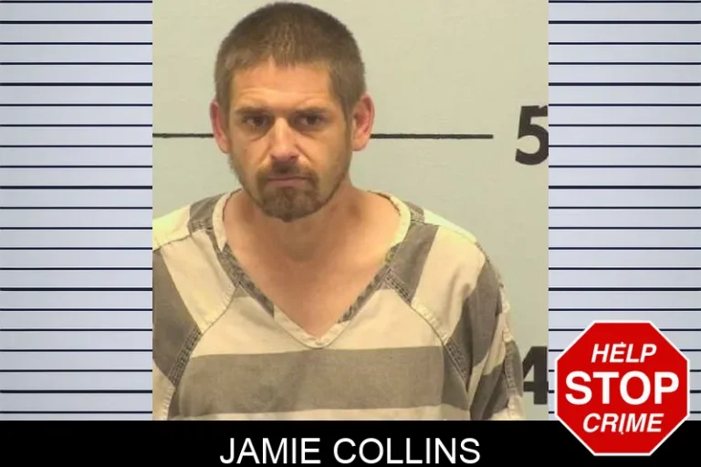 Jamie Collins