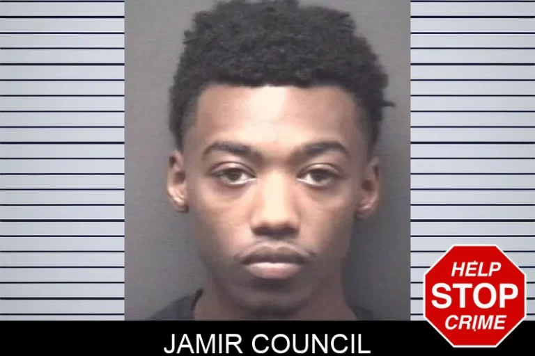 Jamir Council