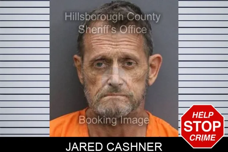 Jared Cashner