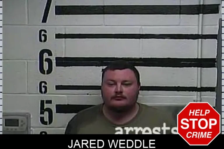 Jared Weddle