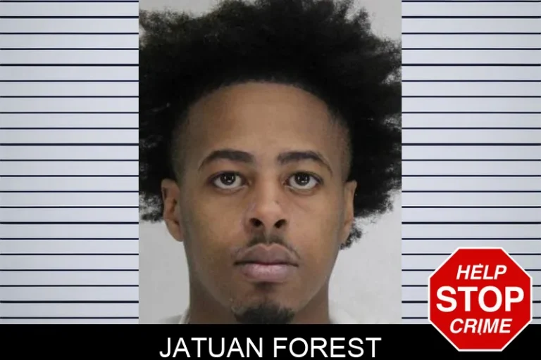 Jatuan Forest