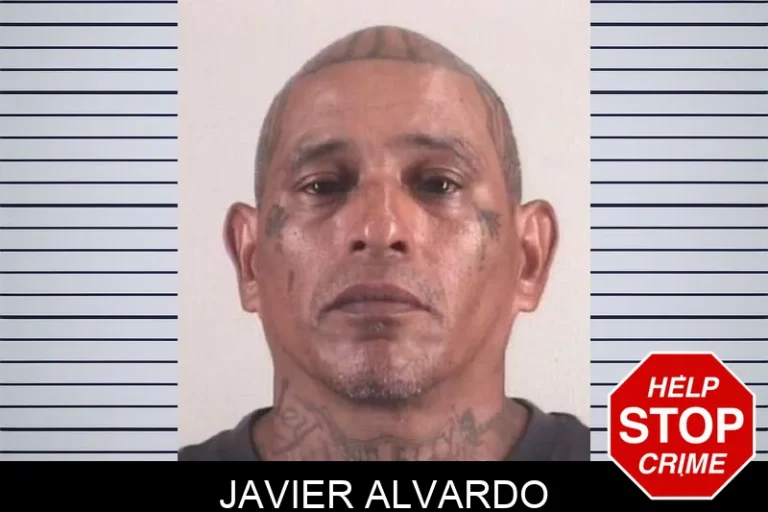 Javier Alvardo