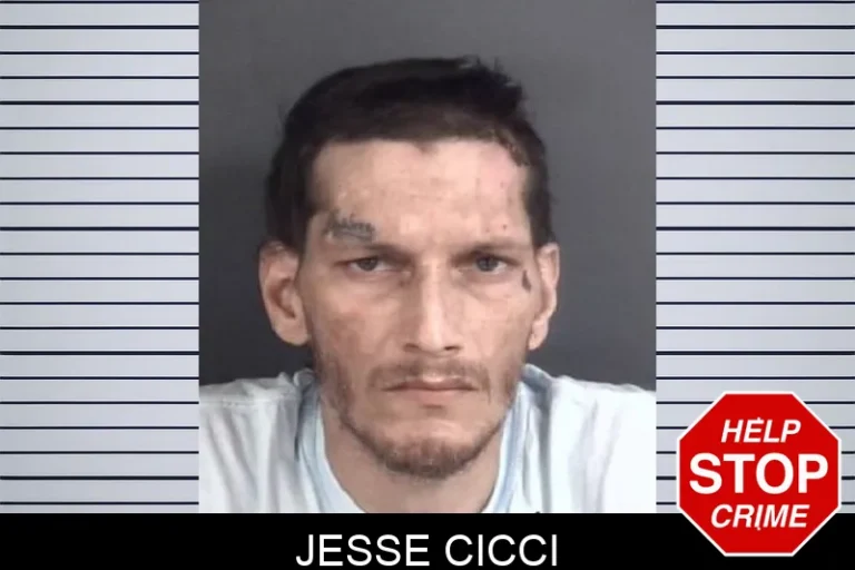 Jesse Cicci
