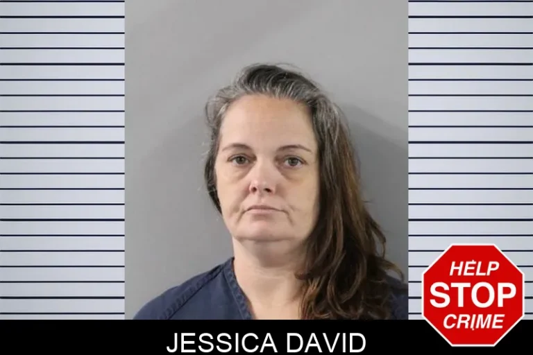 Jessica David