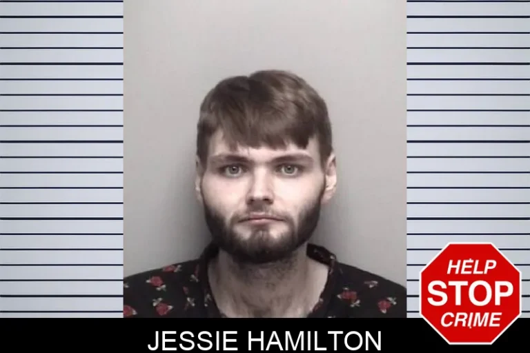 Jessie Hamilton