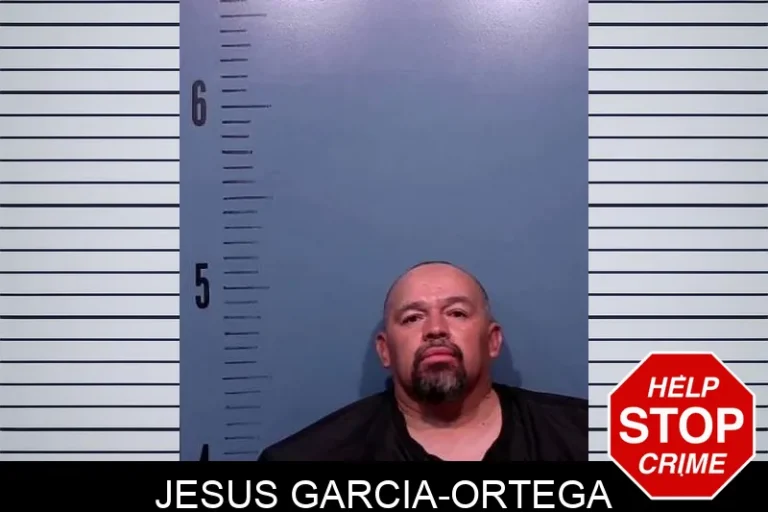 Jesus Garcia-Ortega