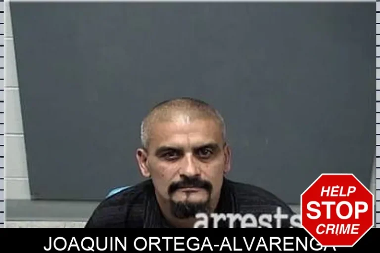 JoaquIn Ortega-Alvarenga