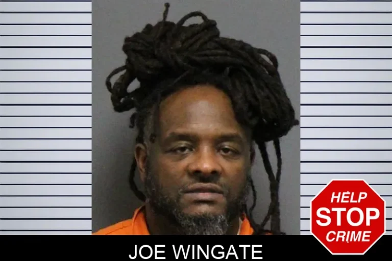 Joe Wingate