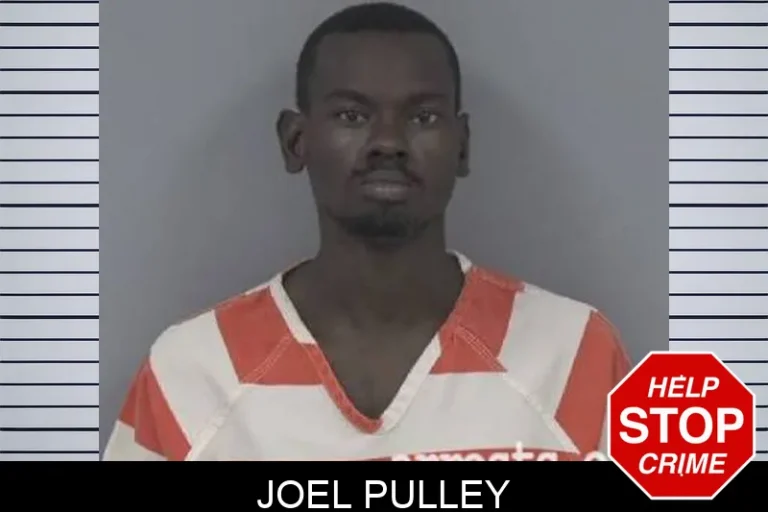 Joel Pulley