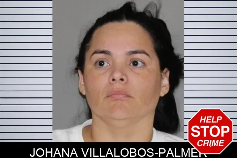 Johana Villalobos-Palmer
