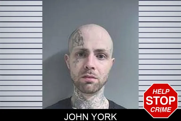 John York