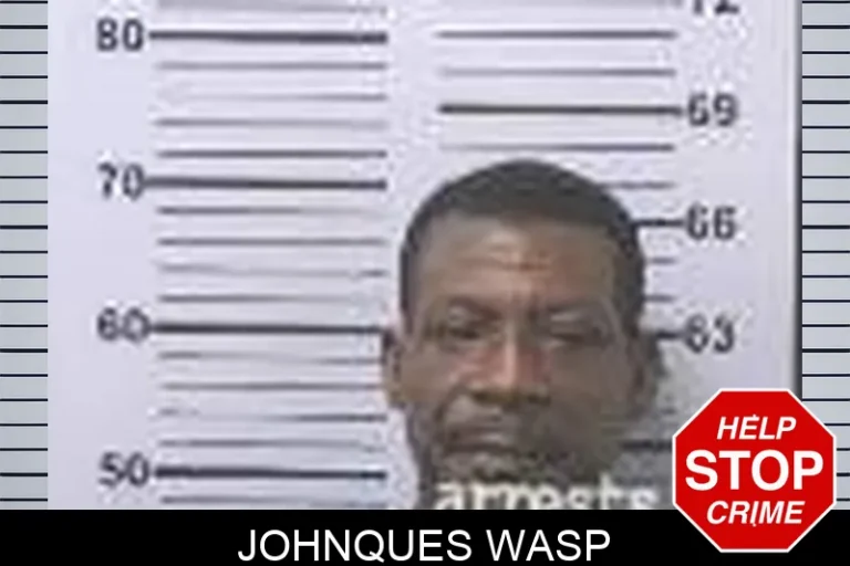 Johnques Wasp