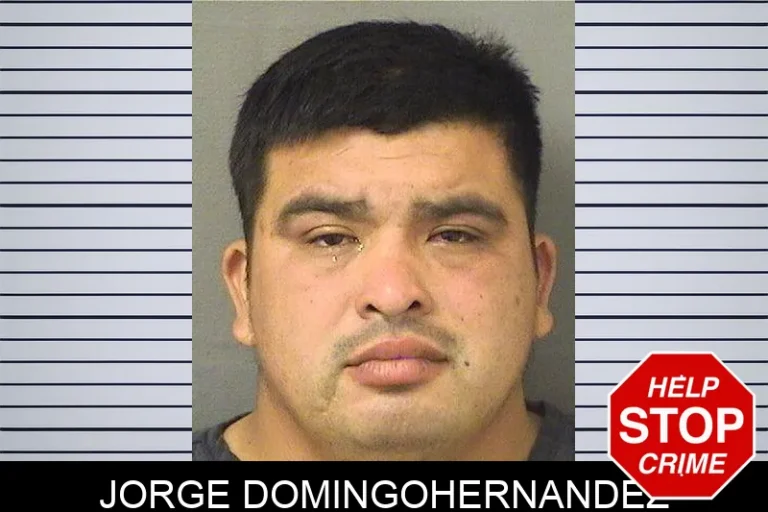 Jorge Domingohernandez