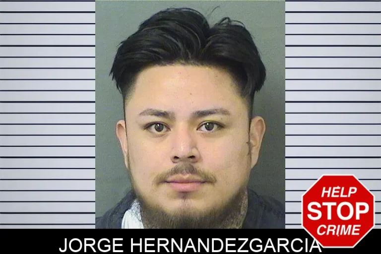 Jorge Hernandezgarcia