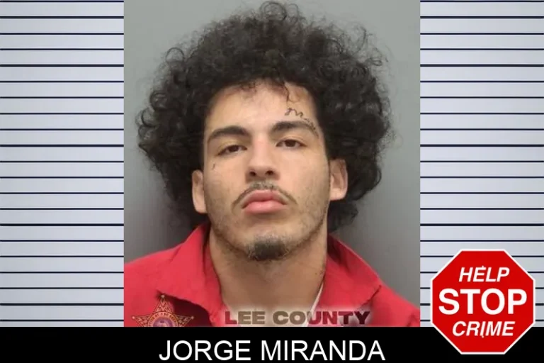 Jorge Miranda