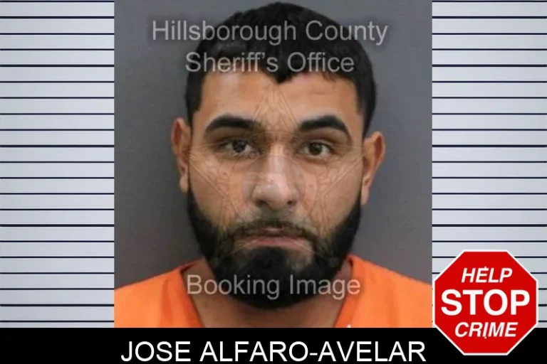 Jose Alfaro-Avelar