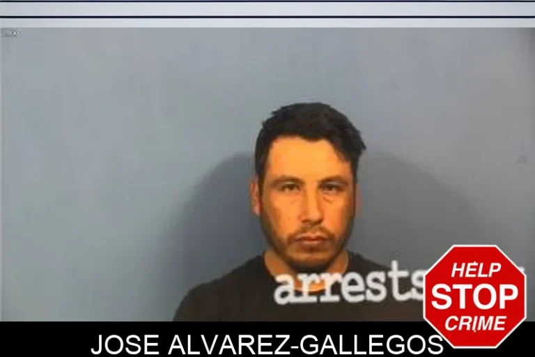 Jose Alvarez-Gallegos