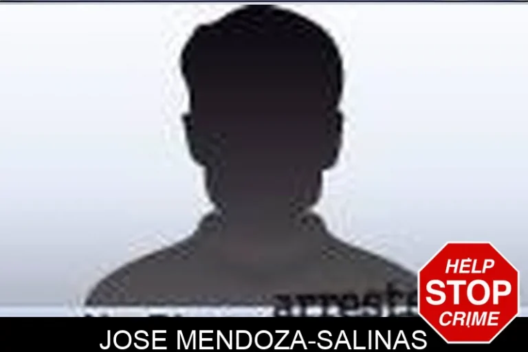 Jose Mendoza-Salinas