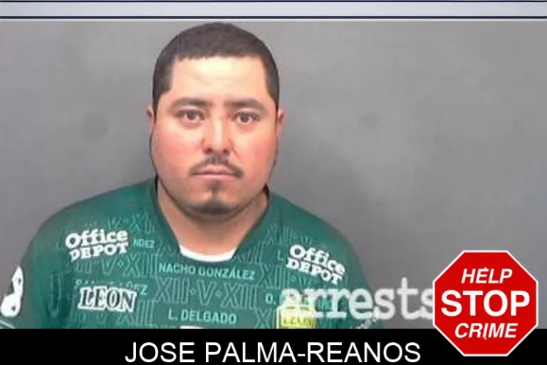 Jose Palma-Reanos
