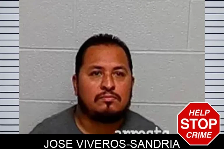 Jose Viveros-Sandria